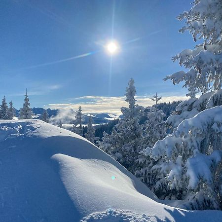 Trollenhof Im Allgaeu - Ferienwohnungen Saeuling Ruckholz Екстер'єр фото