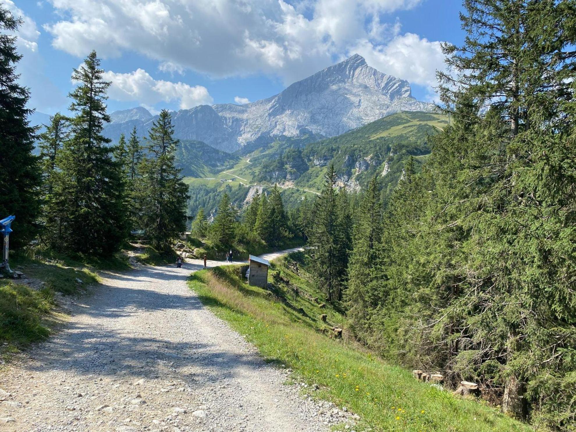 Trollenhof Im Allgaeu - Ferienwohnungen Saeuling Ruckholz Екстер'єр фото