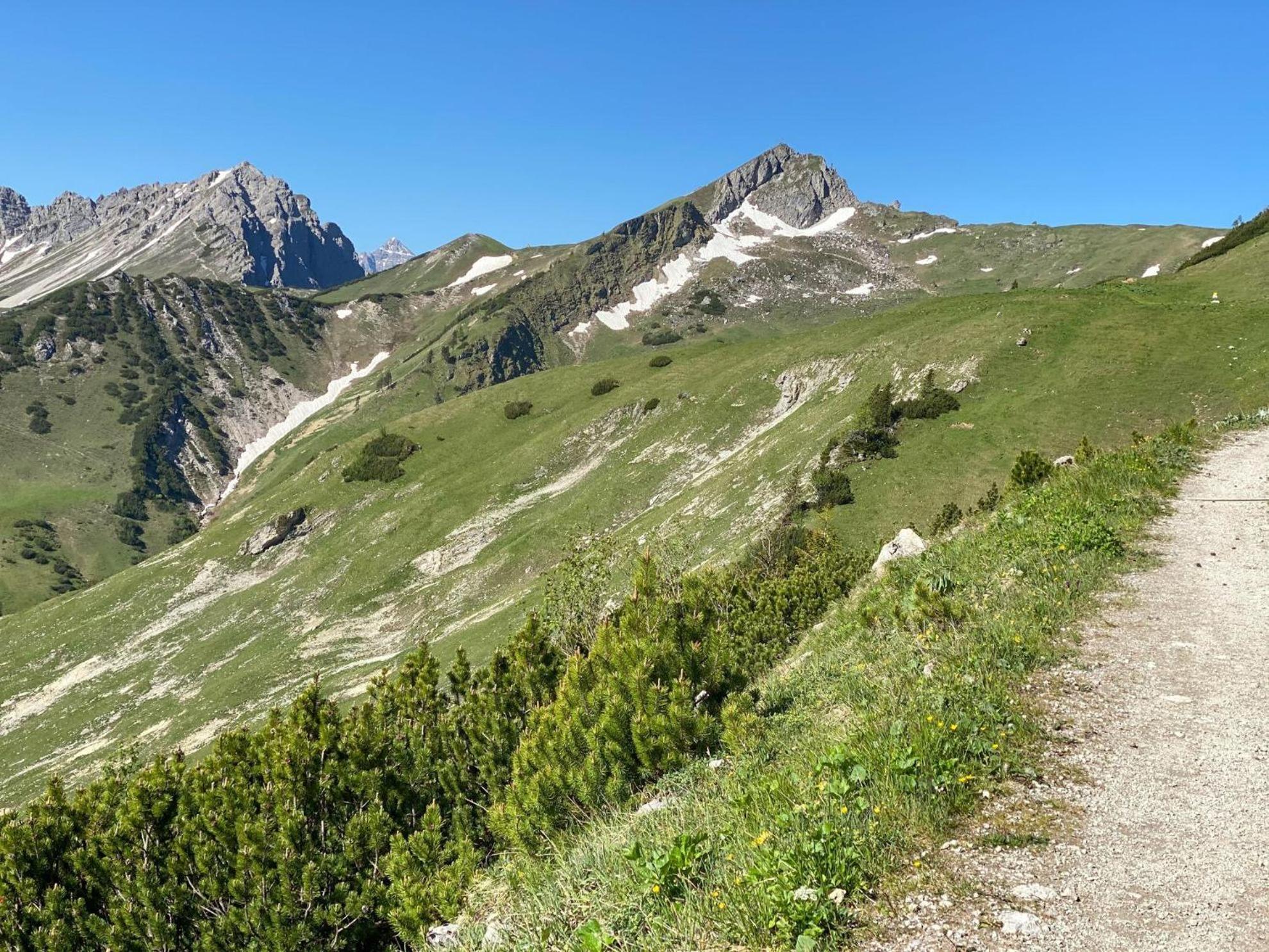 Trollenhof Im Allgaeu - Ferienwohnungen Saeuling Ruckholz Екстер'єр фото